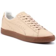 Lage Sneakers Puma Lifestyle shoes Clyde Veg Tan Naturel 364451 01