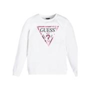 Sweater Guess -