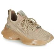 Lage Sneakers Steve Madden MAXILLA-R