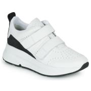 Lage Sneakers Geox D02FLB08522C0404