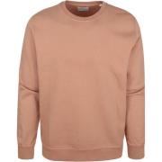 Sweater Colorful Standard Sweater Organic Bruin