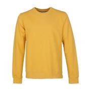 Sweater Colorful Standard Sweater Geel