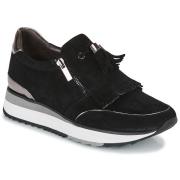 Lage Sneakers Adige Xave