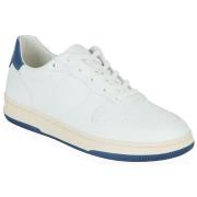 Lage Sneakers Clae MALONE