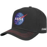 Pet Capslab Space Mission NASA Cap