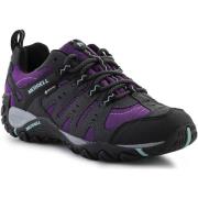 Wandelschoenen Merrell Accentor Sport Gtx Grape/Aquifer J98406