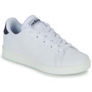 Lage Sneakers adidas ADVANTAGE K