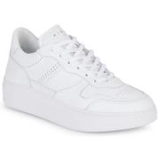 Lage Sneakers Piola CAYMA