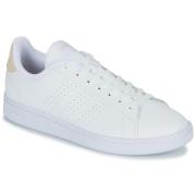 Lage Sneakers adidas ADVANTAGE