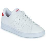 Lage Sneakers adidas ADVANTAGE