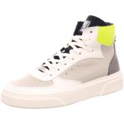 Sneakers Steve Madden -