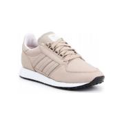 Lage Sneakers adidas Forest Grove