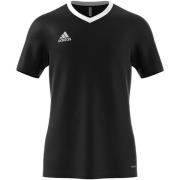 T-shirt adidas Ent22 Jsy