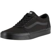 Lage Sneakers Vans Ward Canvas Trainers