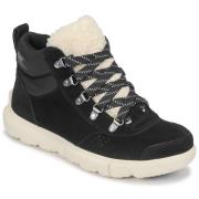 Laarzen Sorel EXPLORER NEXT HIKER