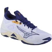 Fitness Schoenen Mizuno Wave Momentum 3