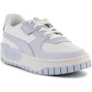 Lage Sneakers Puma Cali Dream Pastel / Marshmallow / Arctic Ice 385597...