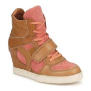 Hoge Sneakers Ash COCA