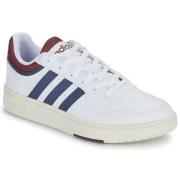 Lage Sneakers adidas HOOPS 3.0