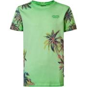 T-shirt Petrol Industries T-Shirt Botanical Palmboom Groen