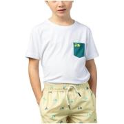 T-shirt Korte Mouw Scotta -