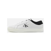 Sneakers Ck Jeans -