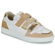 Lage Sneakers Caval VELCROS