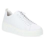 Lage Sneakers Rieker -