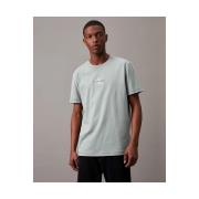 T-shirt Korte Mouw Calvin Klein Jeans J30J325649PFF