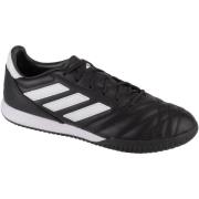 Sportschoenen adidas adidas Copa Gloro IN