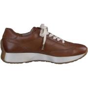 Lage Sneakers Paul Green Sneaker