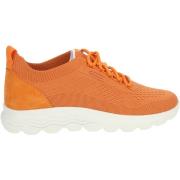 Lage Sneakers Geox Sneaker