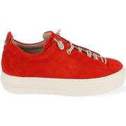 Lage Sneakers Paul Green Sneaker