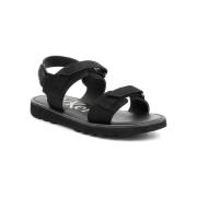 Sandalen Kickers Kick Neos