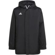 Blazer adidas Ent22 Stad Jkty