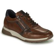 Lage Sneakers Fluchos 1600-HABANA-CAMEL