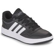 Lage Sneakers adidas HOOPS 3.0