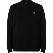 Sweater Dickies Oakport-Sweatshirt