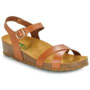 Sandalen Dream in Green TSILI