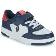 Lage Sneakers Polo Ralph Lauren MASTERS COURT BEAR PS