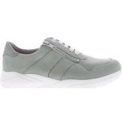 Sneakers Solidus Kea K