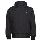 Windjack Dickies NEW SARPY JACKET