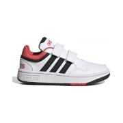 Sneakers adidas Hoops 3.0 cf c