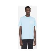 T-shirt Dickies Bayside gardens tee ss