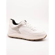 Sneakers Geox -