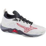 Fitness Schoenen Mizuno Wave Momentum 3