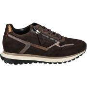 Lage Sneakers Gabor Sneaker