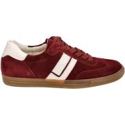 Lage Sneakers Paul Green Sneaker