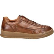 Lage Sneakers Pantofola d'Oro Sneaker