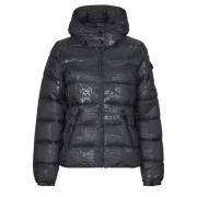 Donsjas Desigual PADDED DRAMMEN